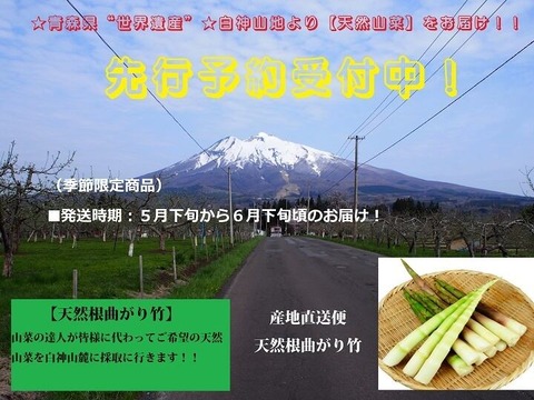 cc5cee23494a12283a2cc1c60530525b