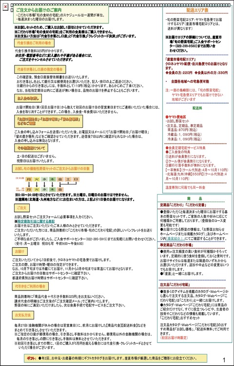 ⑤-1ショップモール・宅配サービス構想概要説明-3