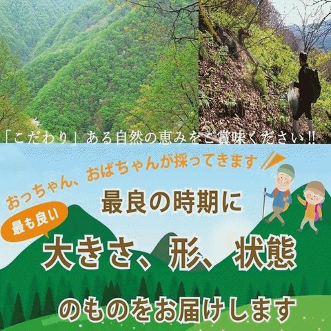 cmtdesign_bbb3b7c108_9_d_20260126134725