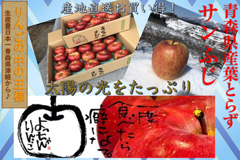 葉とらずサンふじ写真-2