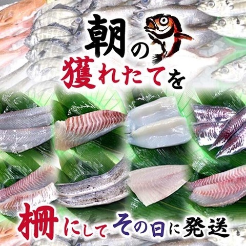 peachsilver_saku4a