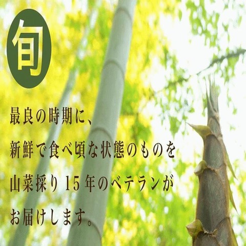 cmtdesign_bbb3b7c108_10_d_20260126134731