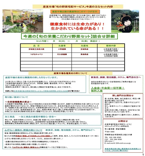⑤-1ショップモール・宅配サービス構想概要説明