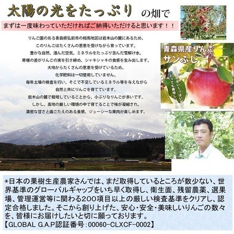 葉とらずサンふじ写真-13