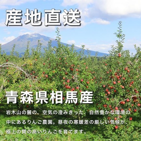 葉とらずサンふじ写真-15
