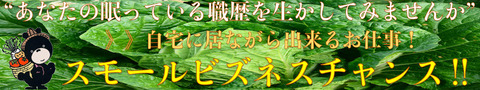 白菜-8のコピー