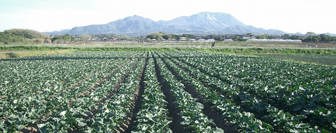 tottori_01