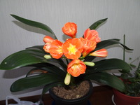 DSC01325