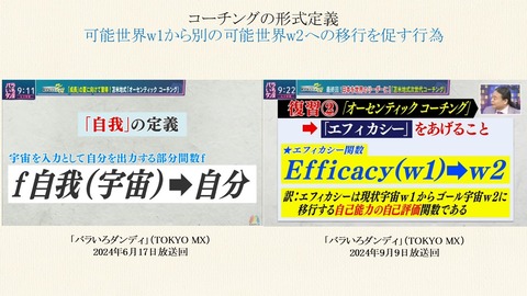 ブログQ-484用（部分関数としての自我、エフィカシー関数）