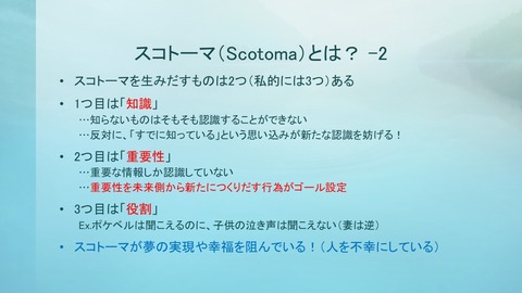 181122福祉講演会-05（スコトーマ-2）