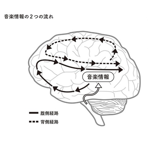 音楽情報の2つの流れ（音楽と洗脳 p76）