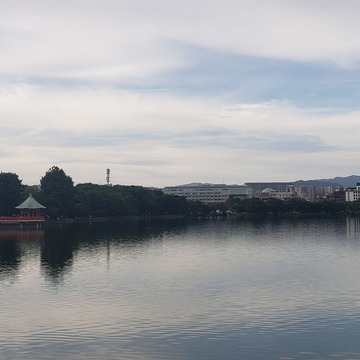 20200801_064619