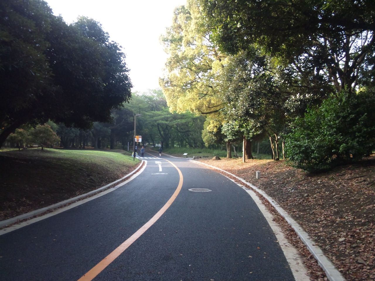 代々木公園デビュー なおみっちゃんの気分走快日記