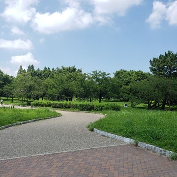 20200719_104616