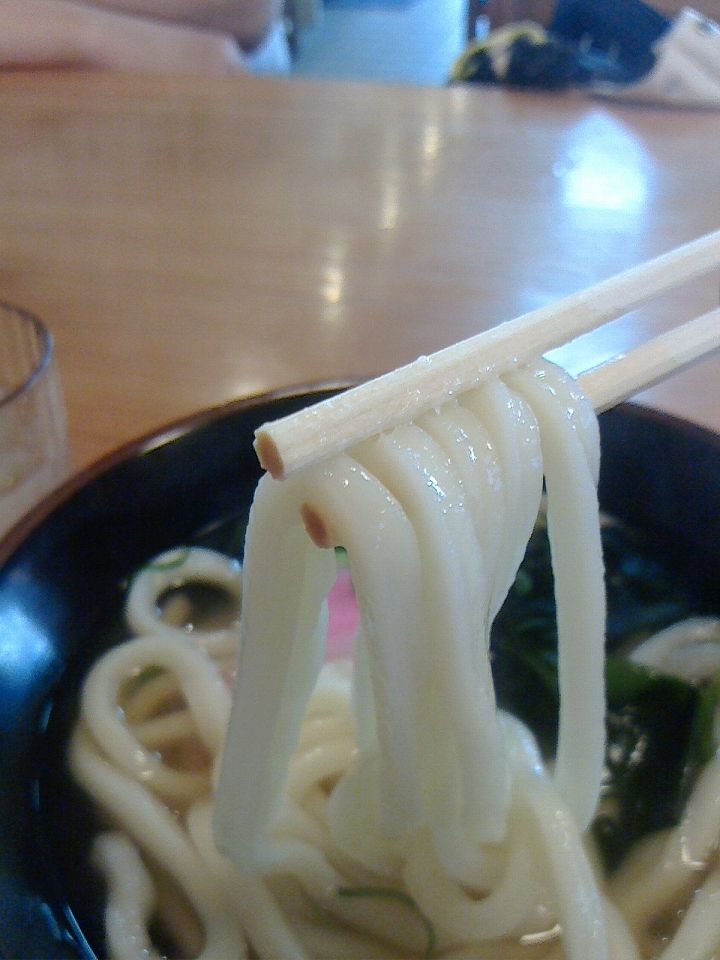 手打ちうどん つるや かけ 小 瀬戸うどん 中華そば はまんど 醤油ラーメン Cobaraの小腹