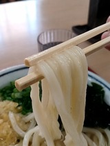 hareya04_104326888s-