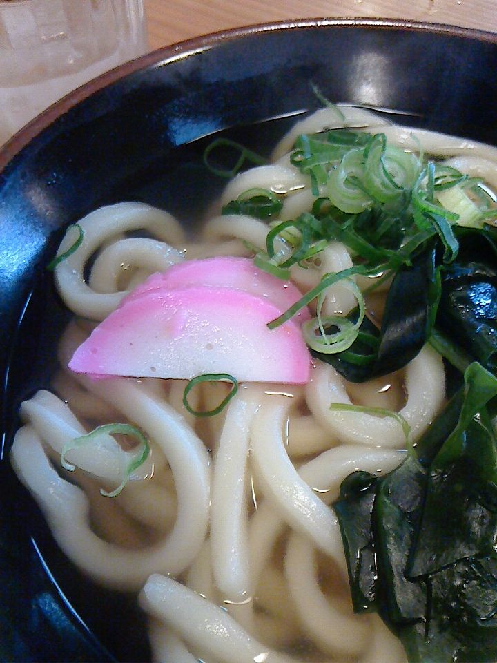 手打ちうどん つるや かけ 小 瀬戸うどん 中華そば はまんど 醤油ラーメン Cobaraの小腹