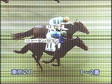 ソース画像を表示