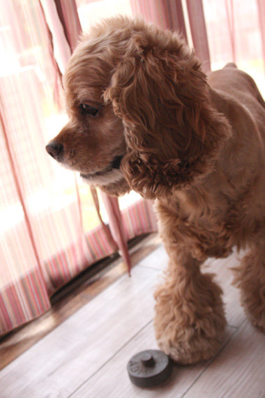 nao-2013_0521-02AP