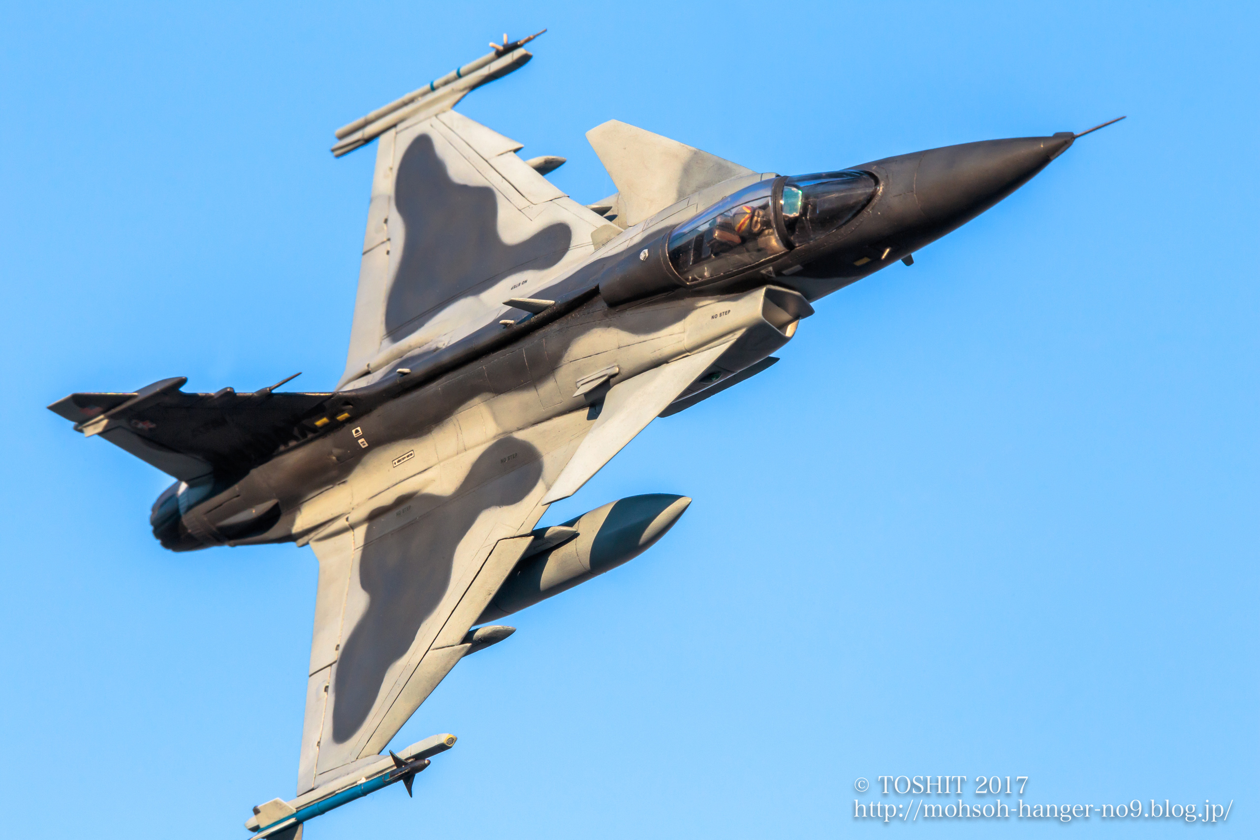 グリペン かわいい