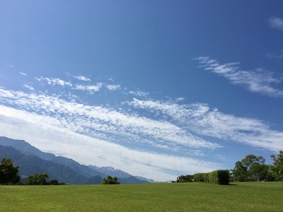 IMG_5566 (1)