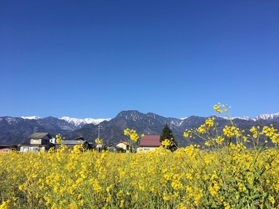 IMG_5127