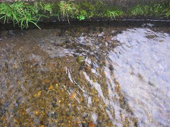 北信濃 木島平村 龍興寺の清水に癒される~❤