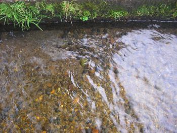 北信濃　木島平村　龍興寺の清水に癒される～❤