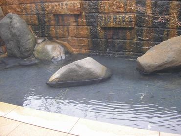 大室温泉3