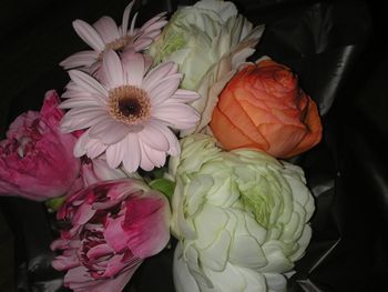 ひと足早く、春を告げる花々~