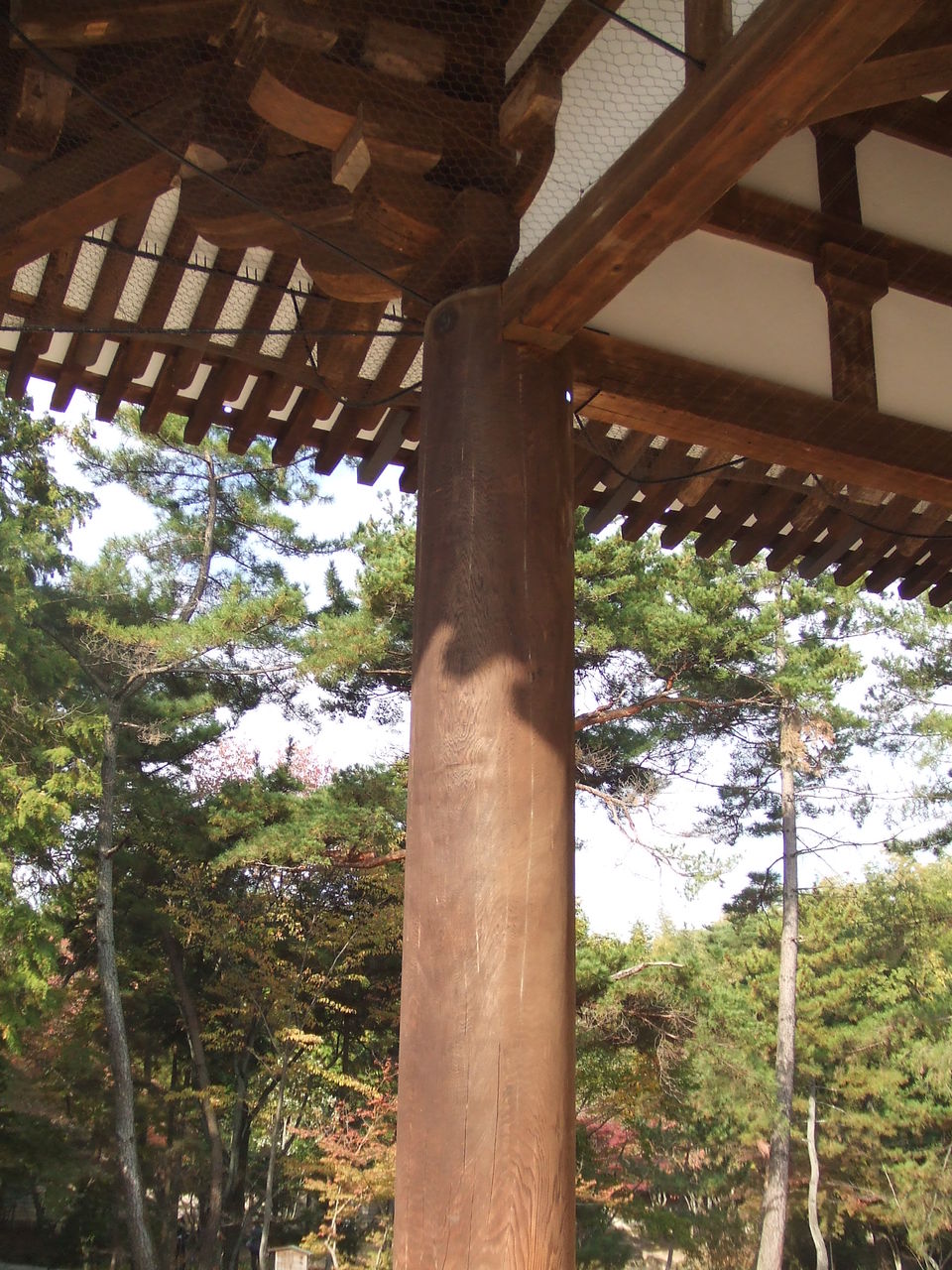 東征伝と鑑真和上像 古の風に吹かれて 東征伝と鑑真和上像 古の風に吹かれて
