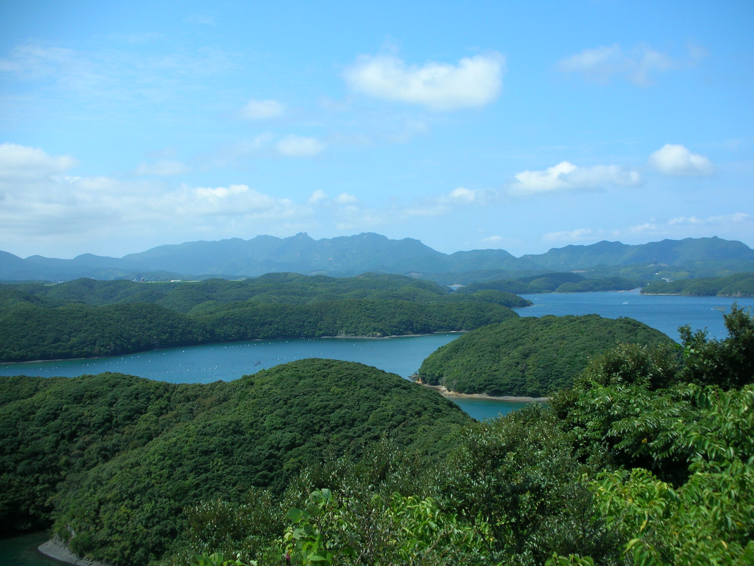 対馬 浅茅湾 古の風に吹かれて