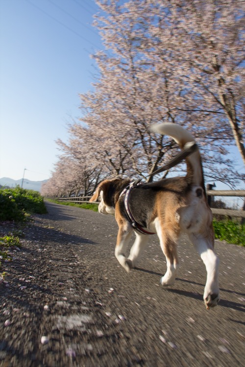 20190413-IMG_9182_R