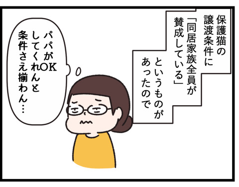 もづくが家族になるまでの話６