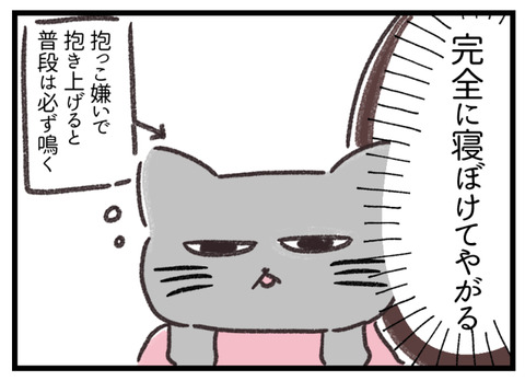 寝ぼけ猫2