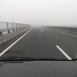 IMG_20211028_080334