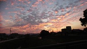 DSC_1007