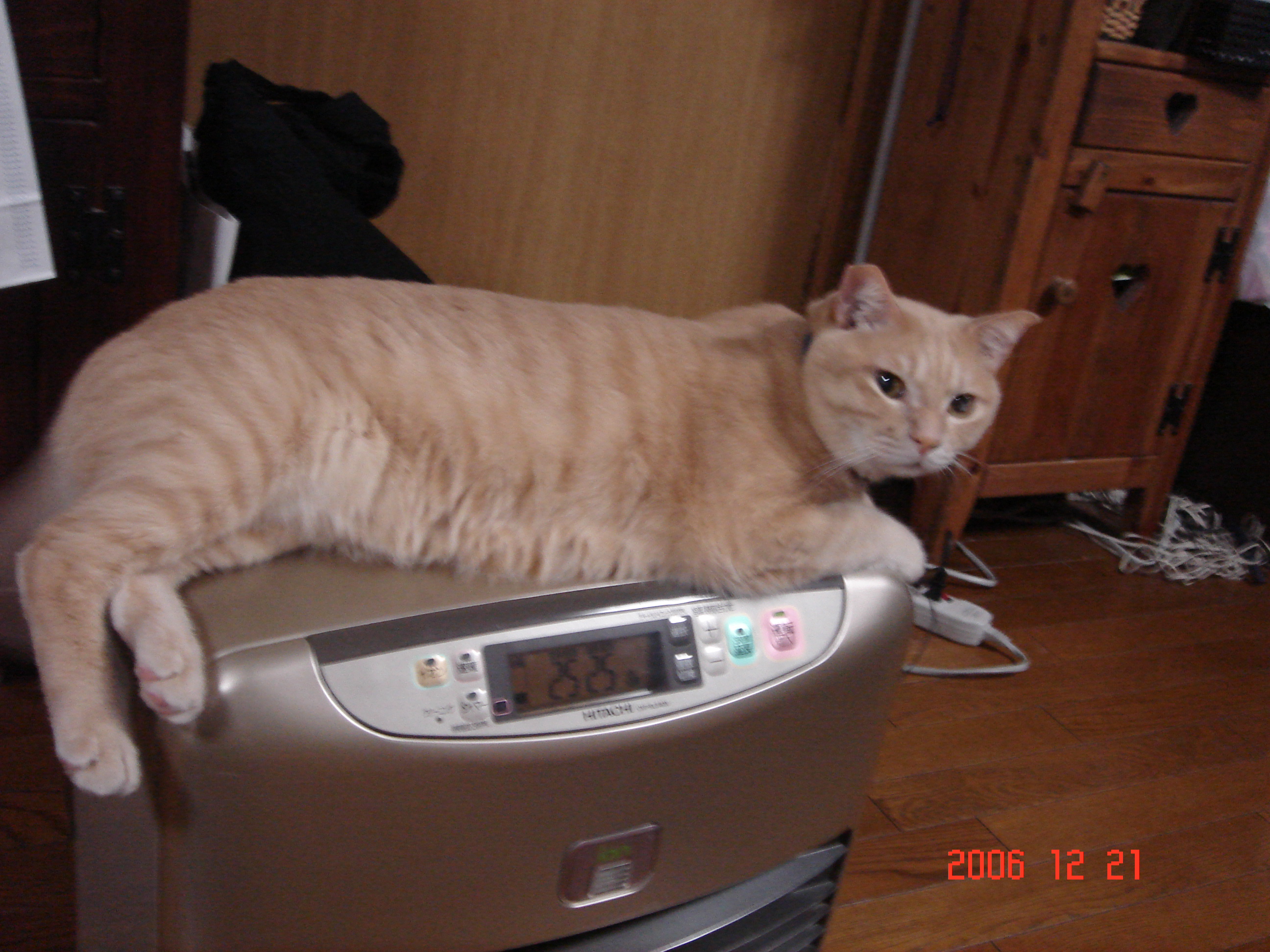 ブレーメンの浜田省吾音楽隊 06年12月