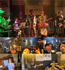 2021313owl