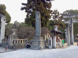 c69374d1.jpg
