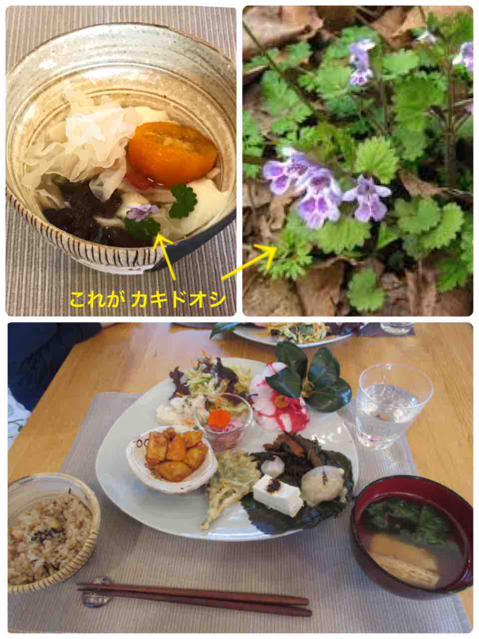霧島旅行 ９ Cocoemiブログ