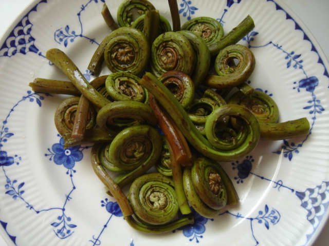 Fiddlehead Fern ぜんまい サンフランシスコに首ったけ