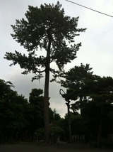 3f359a6a.jpg