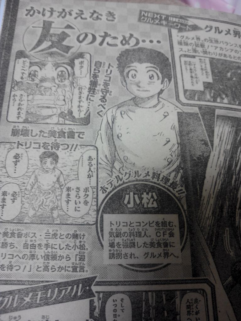 トリコ ジャンプ6 7号vol 12 トリコ トリコ ジャンプ6 7号vol 12 トリコ