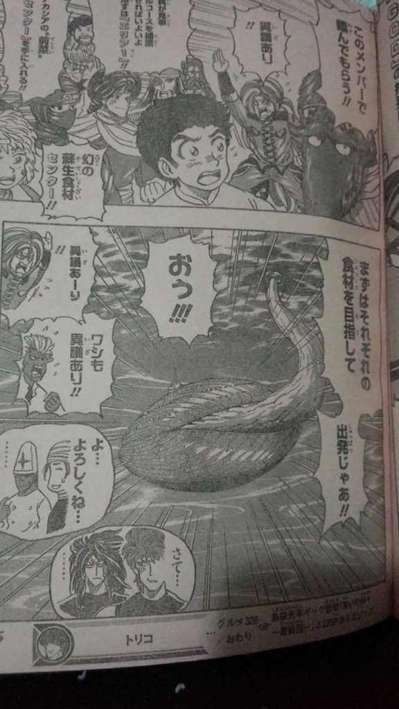 トリコ 祝 表紙 トリコ