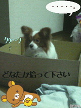 193a580a.jpg