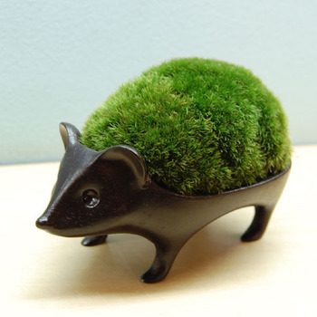 garden_shin033