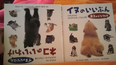 2011011914560000