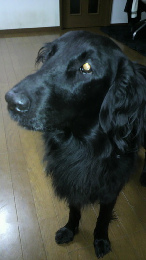 2010123021390000