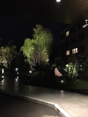 IMG_4590